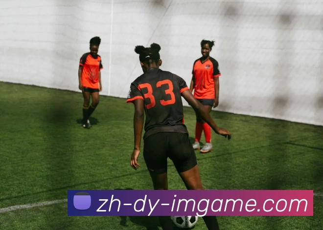 IM电竞官网APP 封面图